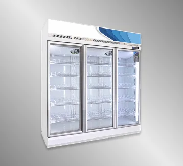 Display Case (Big Three-door)