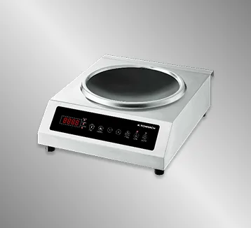 Induction Deep Fryer-4