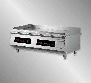 Induction Deep Fryer-5